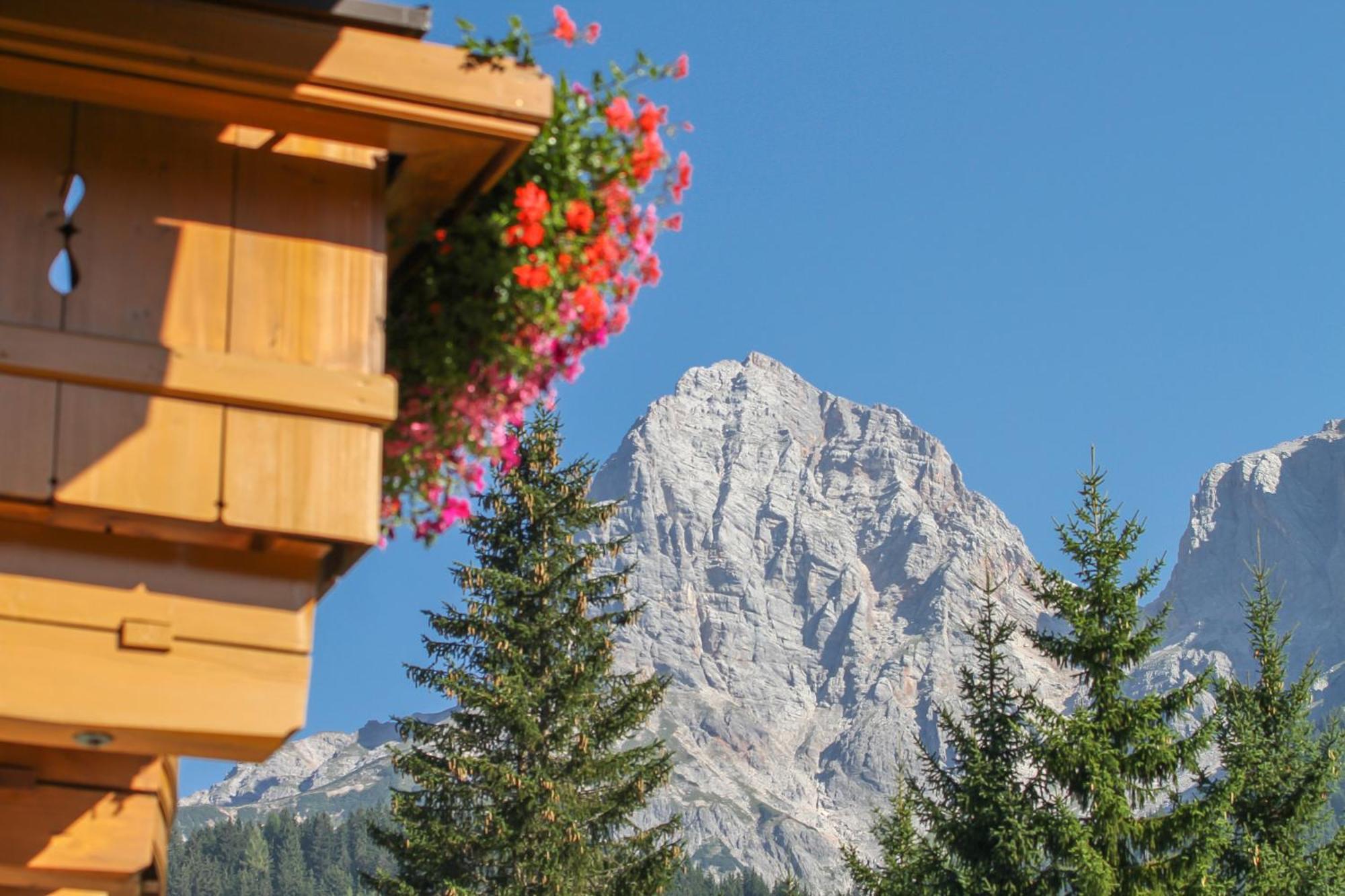 Haus Bergliebe Apartment Maria Alm am Steinernen Meer Exterior photo